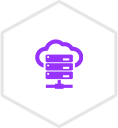 Website Hosting and Maintenance
