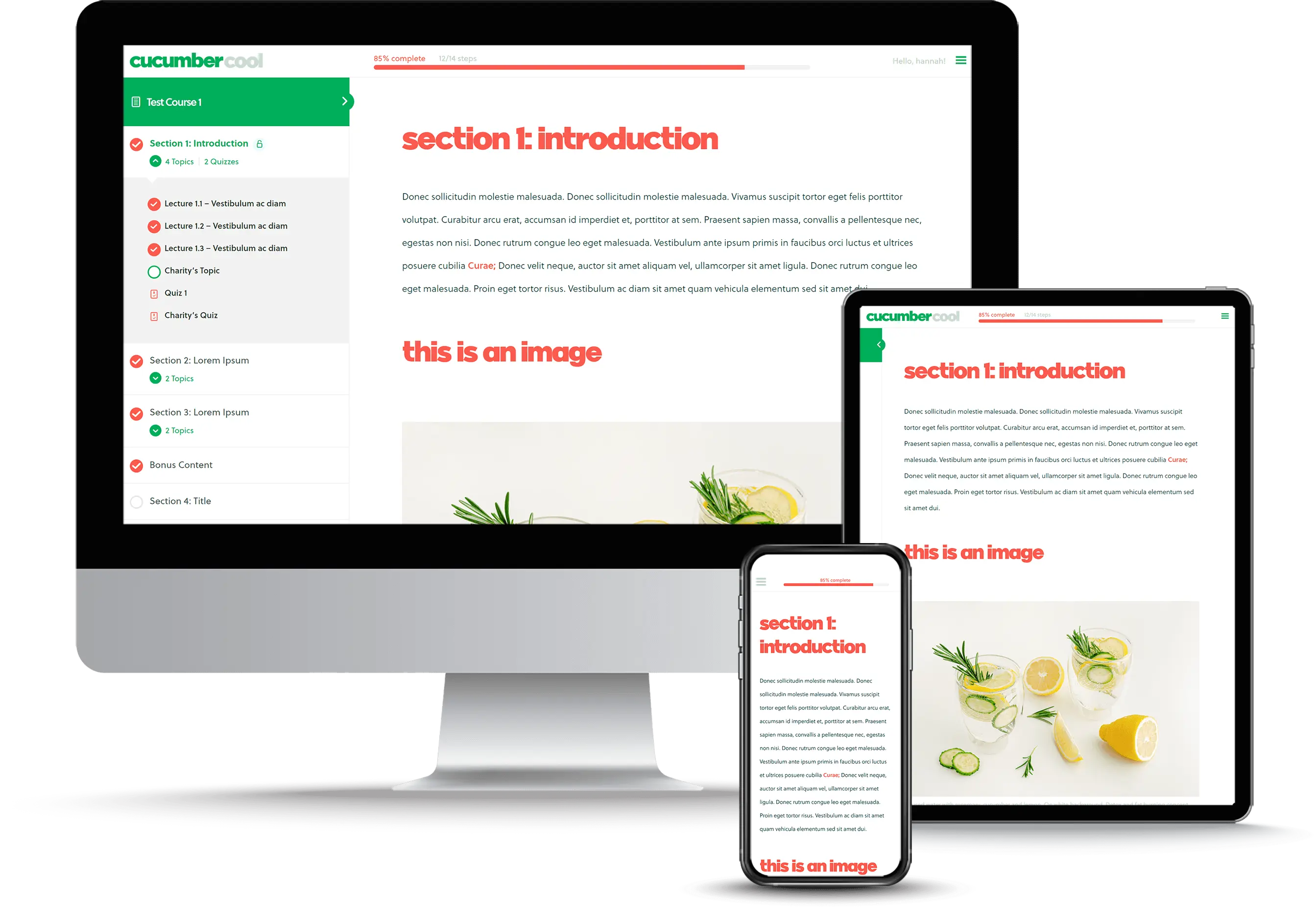 Affordable Bespoke Yorkshire Web Design Services