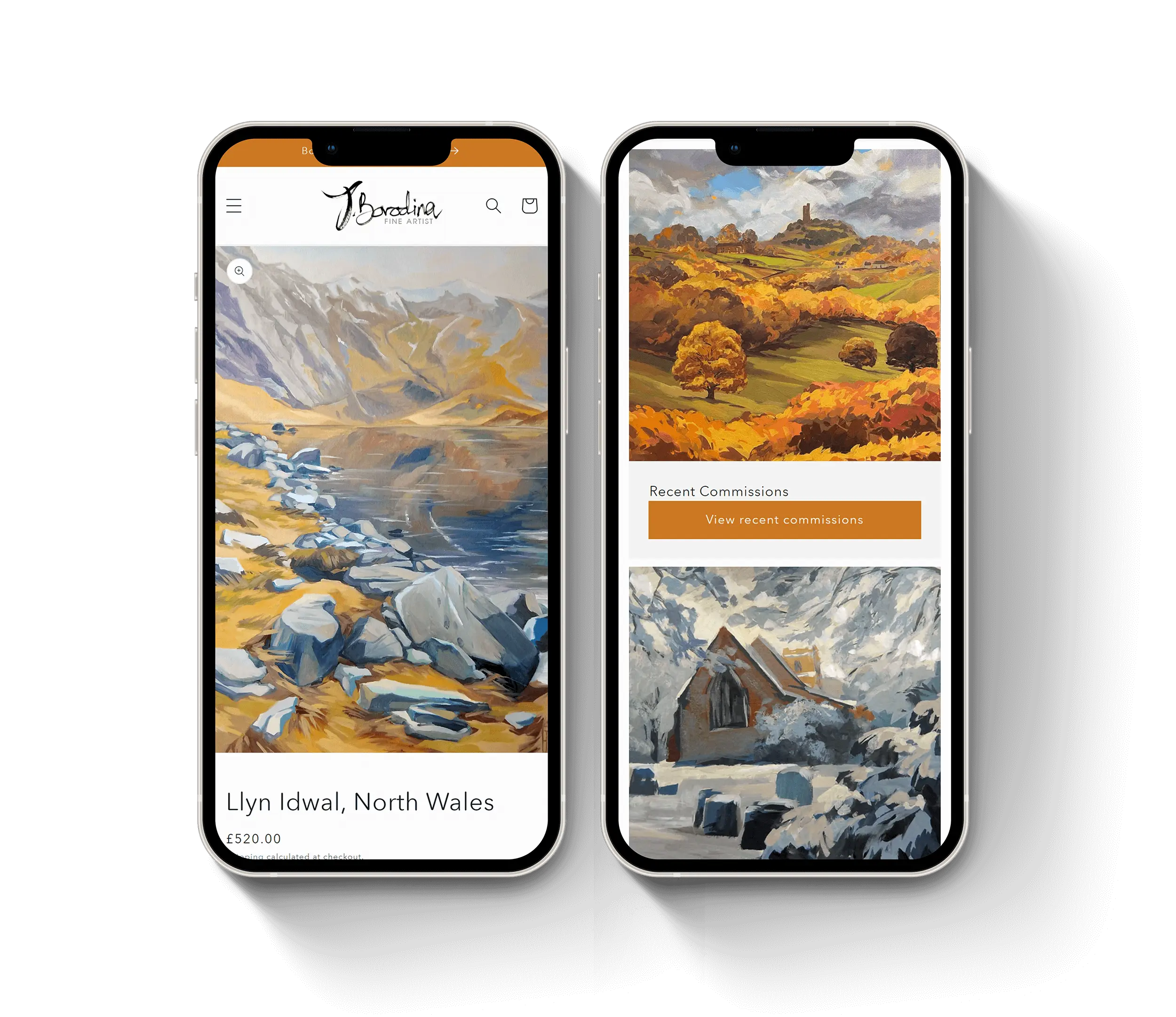 Shopify ecommerce websites in the heart of Yorkshire - Shopify