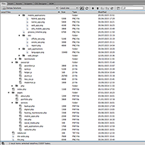 Website and Database Backup Service