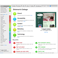 SEO Audits and Reports