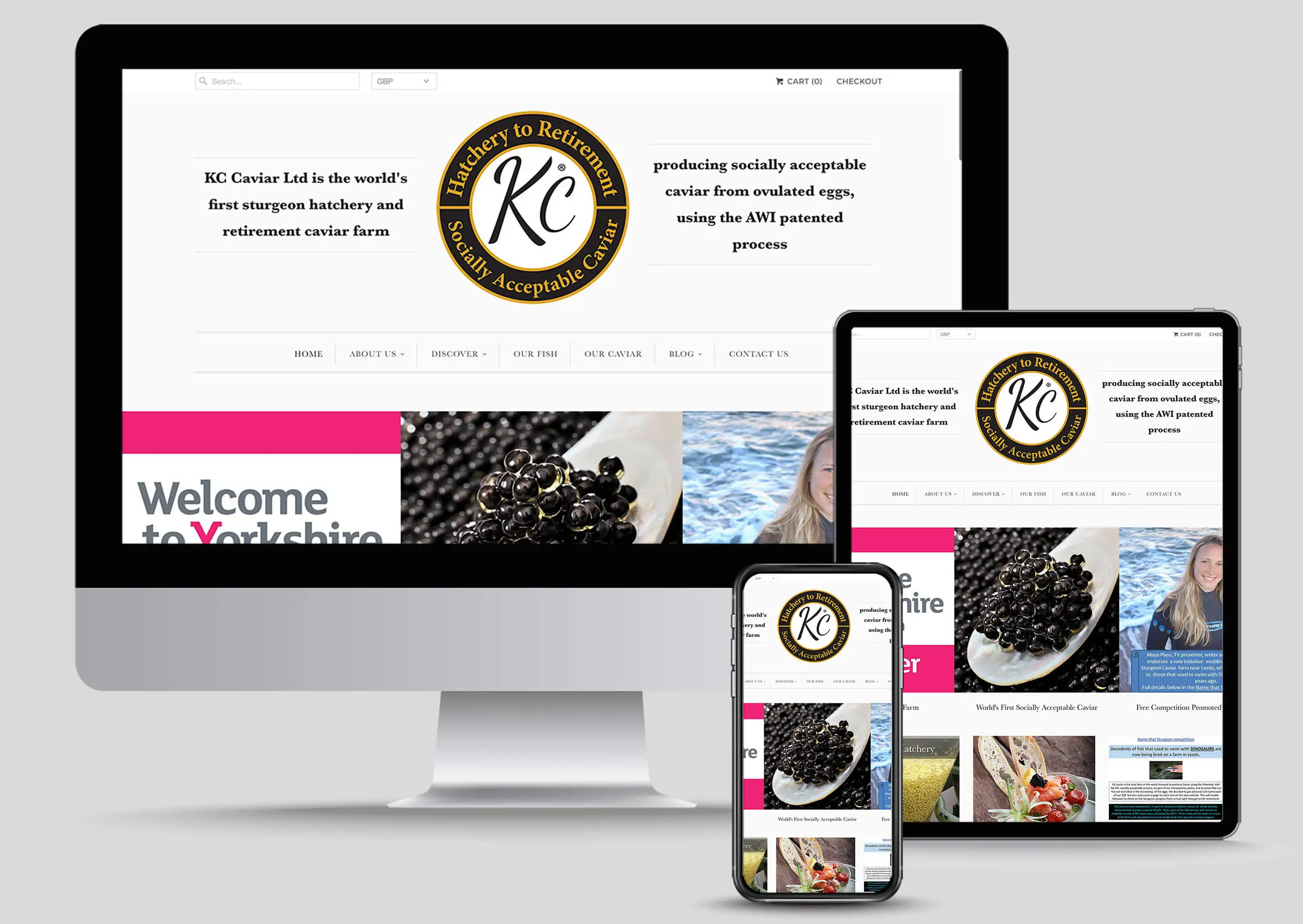 Ecommerce Platform and Shopify Website Designes by Etempa Web Solutions